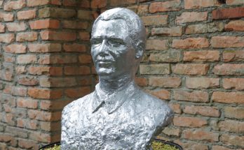 vlada divljan
