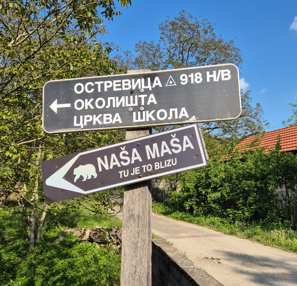 maša ljubica