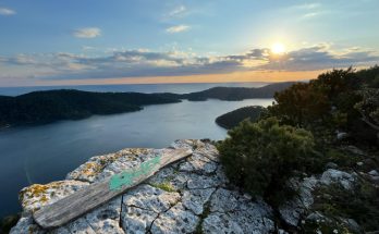 mljet whatsapp