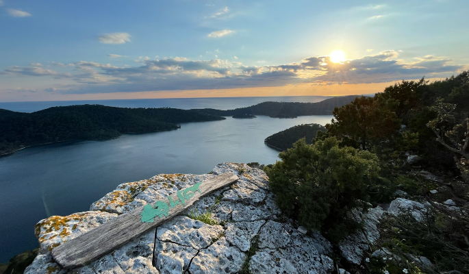 mljet whatsapp