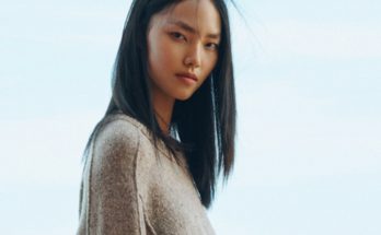 Pre-Fall