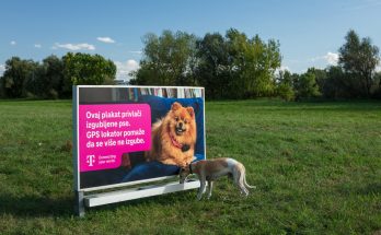 plakat