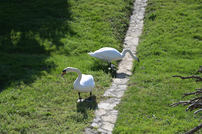 karlovačka županija