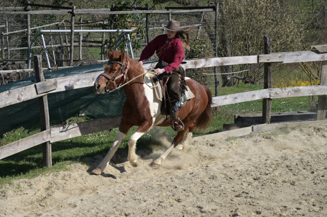 karlovačka županija