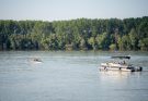 dunav fest