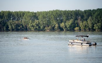 dunav fest