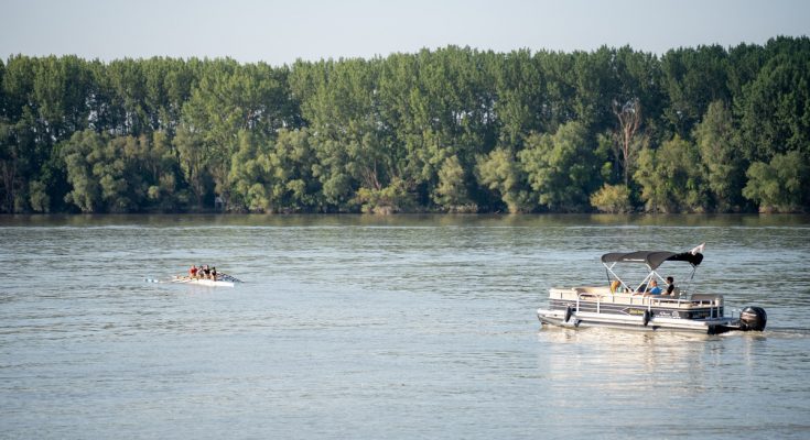 dunav fest